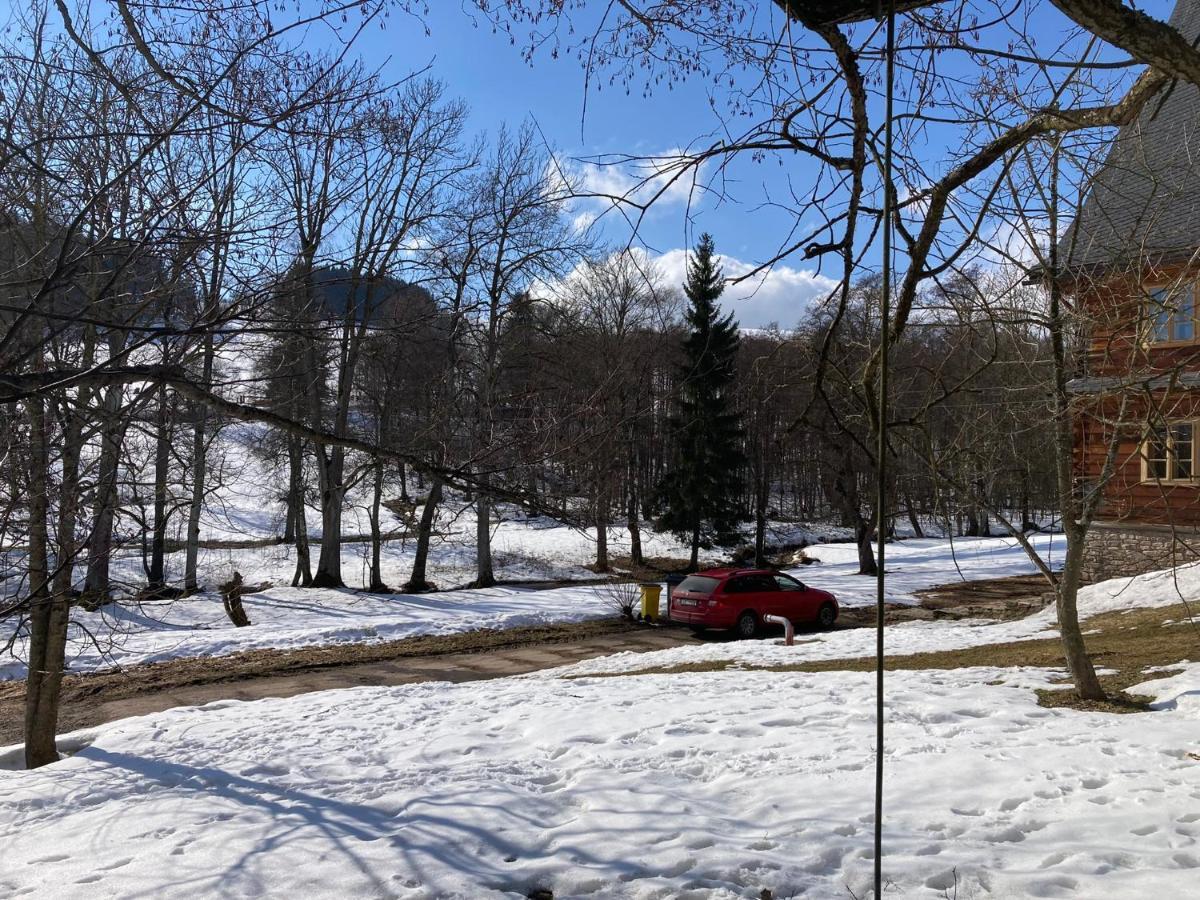 ホテル Samota U Hadince Bartosovice v Orlickych Horach エクステリア 写真