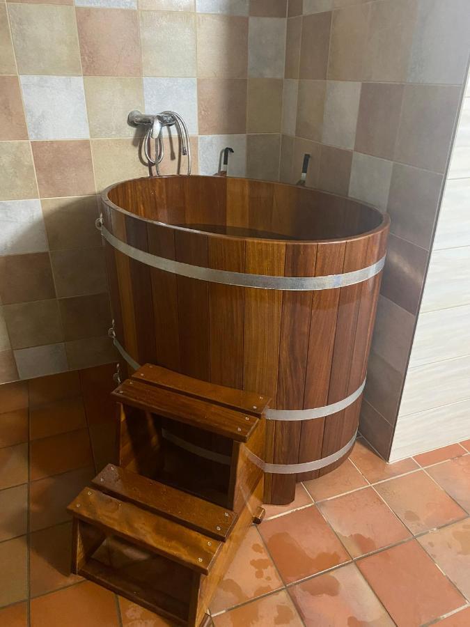 ホテル Samota U Hadince Bartosovice v Orlickych Horach エクステリア 写真